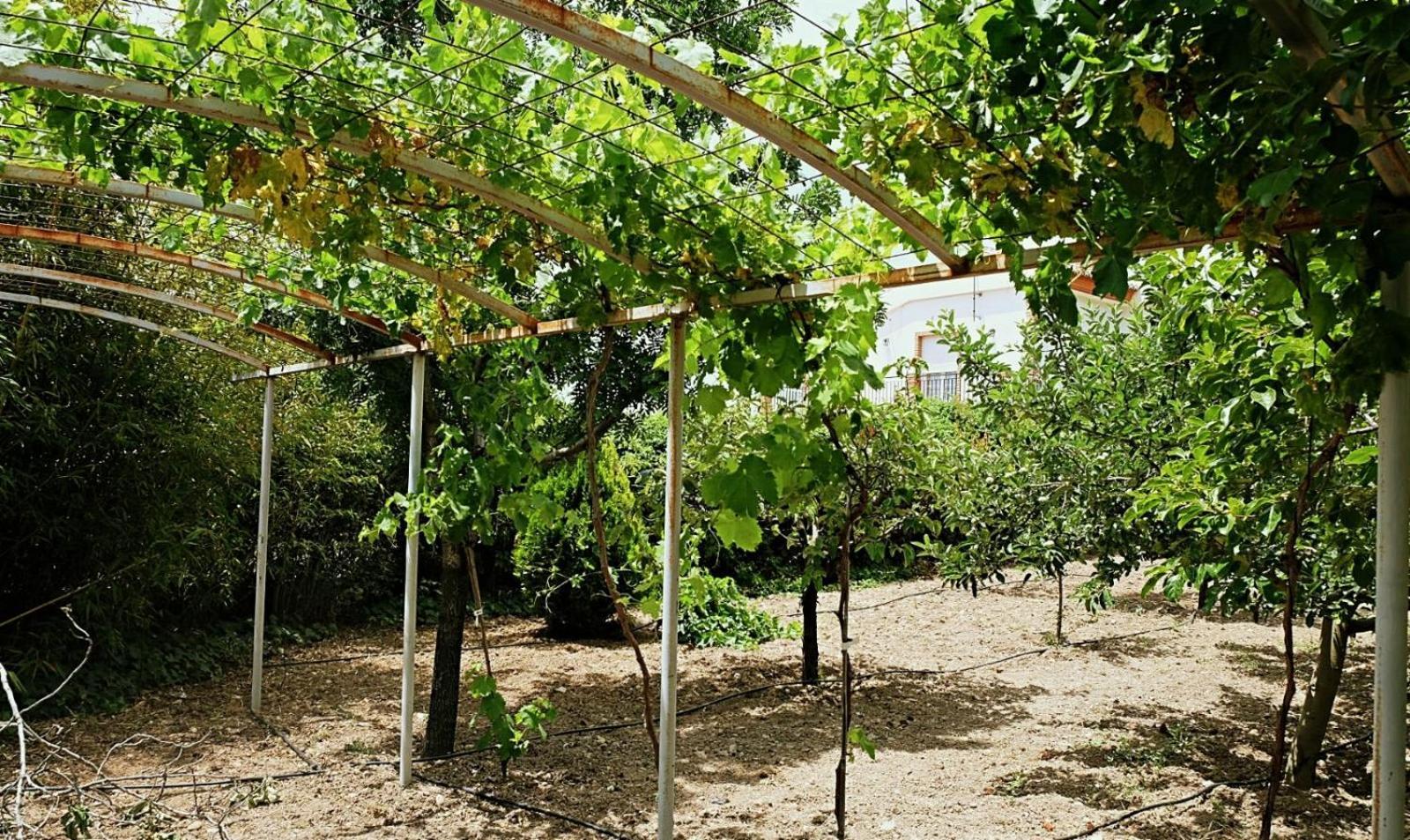 Casa Los Rosales Alfacar Екстериор снимка