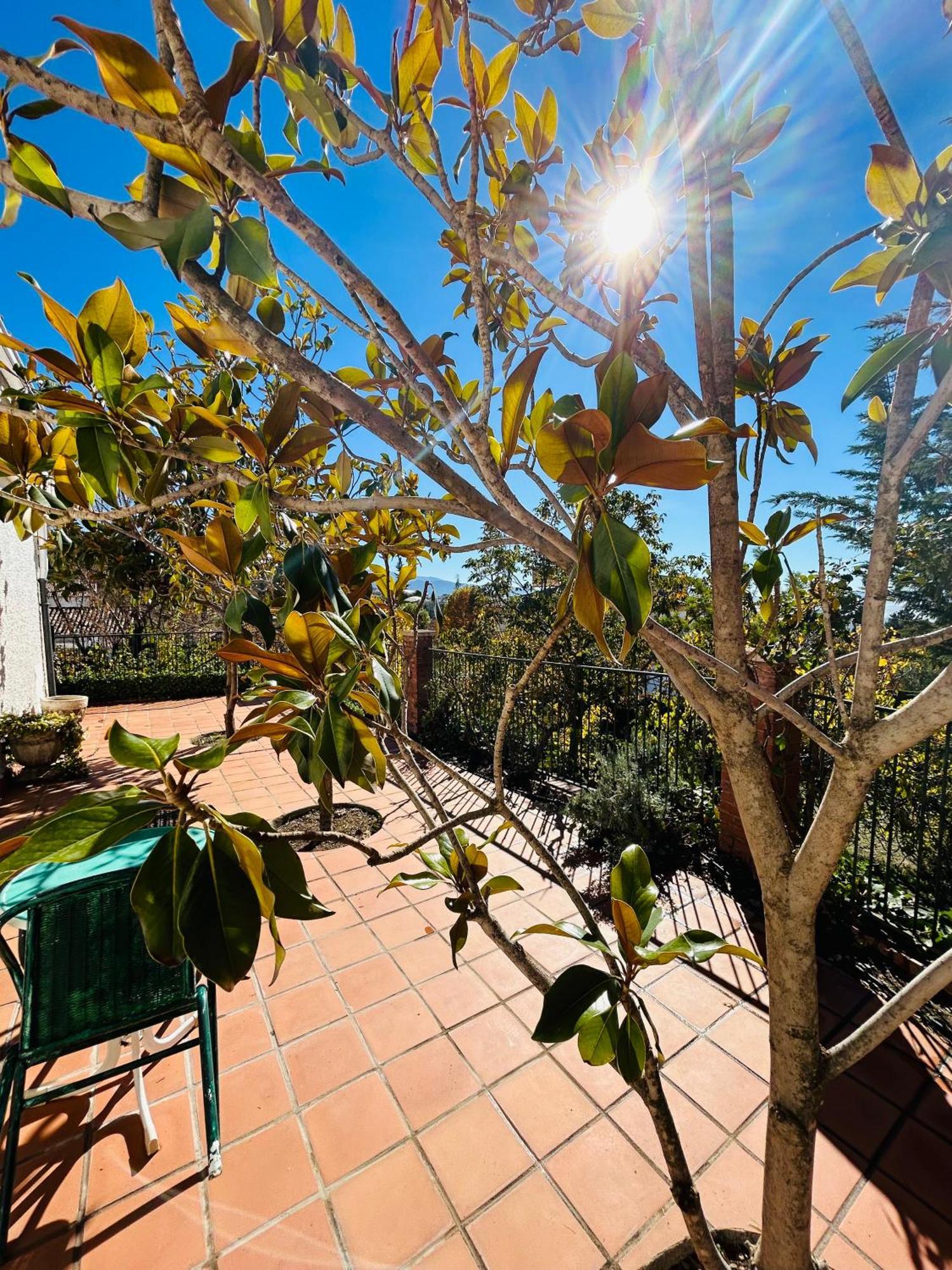 Casa Los Rosales Alfacar Екстериор снимка