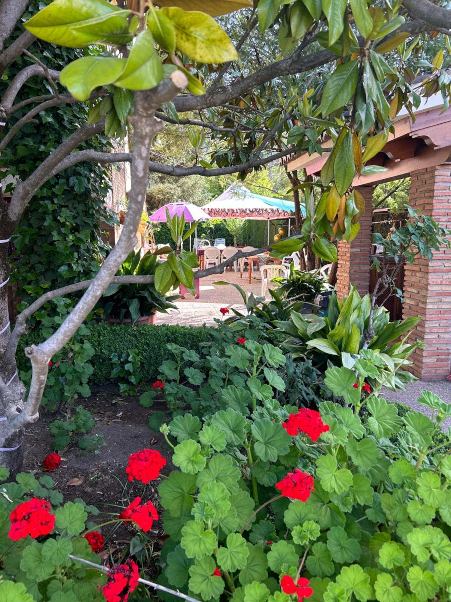 Casa Los Rosales Alfacar Екстериор снимка