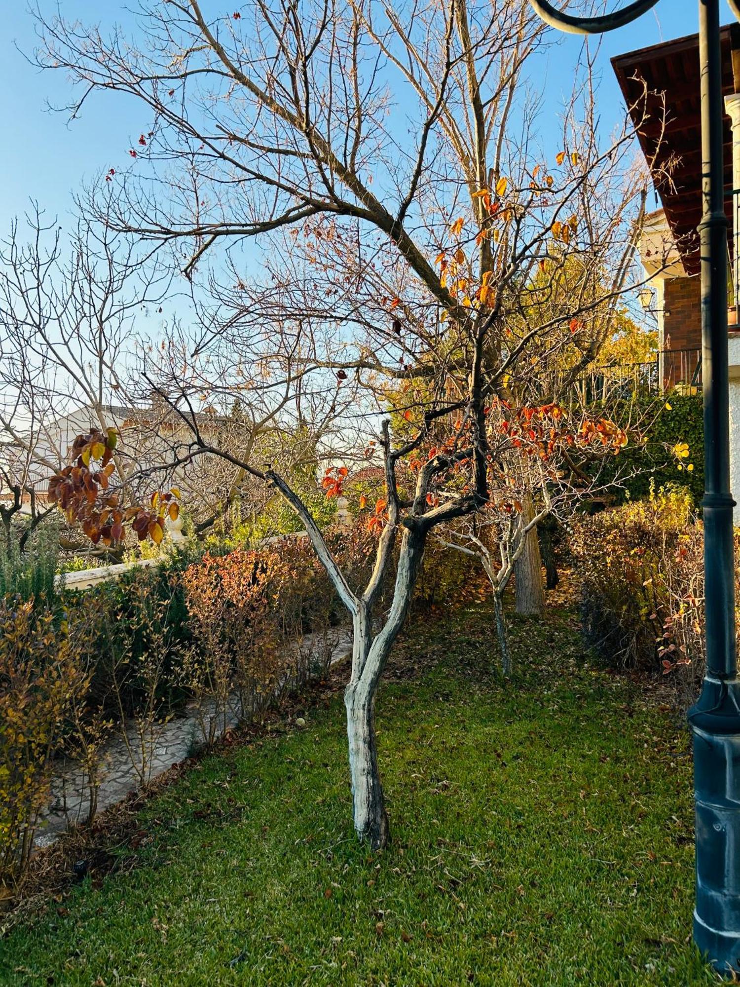 Casa Los Rosales Alfacar Екстериор снимка